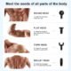 Handheld Massage Gun – 6 Speeds for Deep Back & Neck Relief